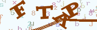 验证码